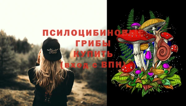 прущая мука Верея