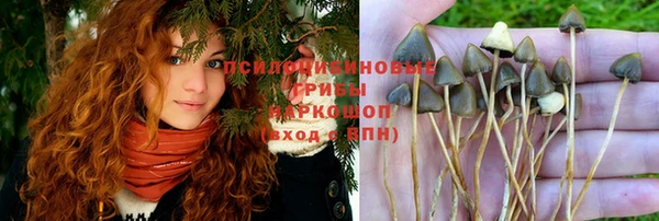 прущая мука Верея