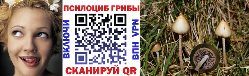 Купить  Перевоз  Псилоцибиновые грибы мухоморы 