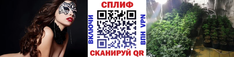 Купить закладки Перевоз МАРИХУАНА MAZAR